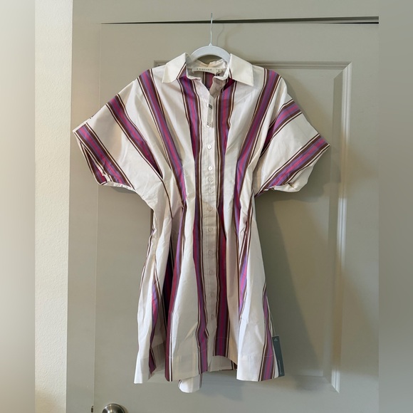 Anthropologie NWT Tobie Mini Shirt Dress in Pink Stripe Exquise - Size XS - Picture 3 of 6